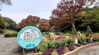 【埼玉チェアリングスポット】東京ドーム64個分の埼玉県最大の自然公園「国営武蔵丘陵森林公園」